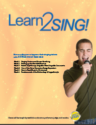 Flyer 2